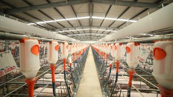 復(fù)產(chǎn)集結(jié)號吹響 齊心協(xié)力保衛(wèi)養(yǎng)豬業(yè)，保障飼料供應(yīng)穩(wěn)定