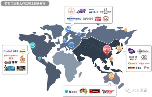 若羽臣擬IPO 以電商綜合服務助力強生、美贊臣等全球優質品牌，賦能互聯網銷售