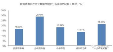 中國(guó)大數(shù)據(jù)產(chǎn)業(yè)發(fā)展前景與投資規(guī)劃分析 數(shù)據(jù)處理服務(wù)的機(jī)遇與挑戰(zhàn)
